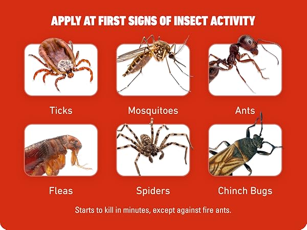 Ortho Bugclear. Apply at first signs of insect acitivity. Kills ticks, ants, fleas, and more