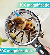 magnifying glass with light