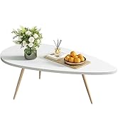 SAYGOER Modern Coffee Table White Oval Coffee Tables for Living Room Simple Center Table for Smal...
