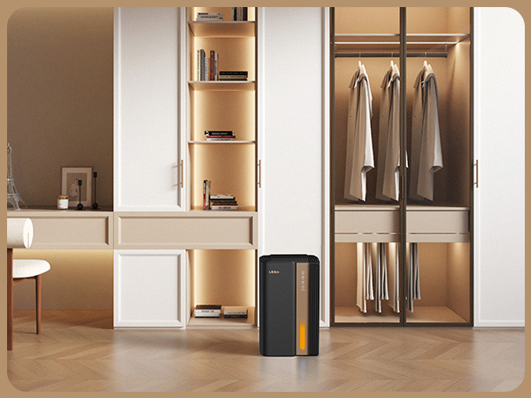 bathroom dehumidifier