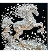 DIADAY Horse Special Shape Diamond Painting Kits for Adults, 12x12 Inch | 5D Crystal Rhinestone D...