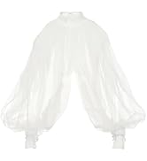 Women's Sexy Batwing Long Sleeves Sheer Shirt See Through Mock Neck Irregular Tops Front Back Spl...