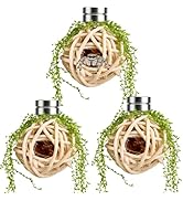 Lanxitown Jumping Spider Enclosure Accessories Jumping Spider Hide Set of 3 Handmade Rattan Ball ...