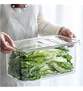 SANNO Refrigerator Food Storage Stackable Containers,Freezer Produce Saver Refrigerator Organizer...