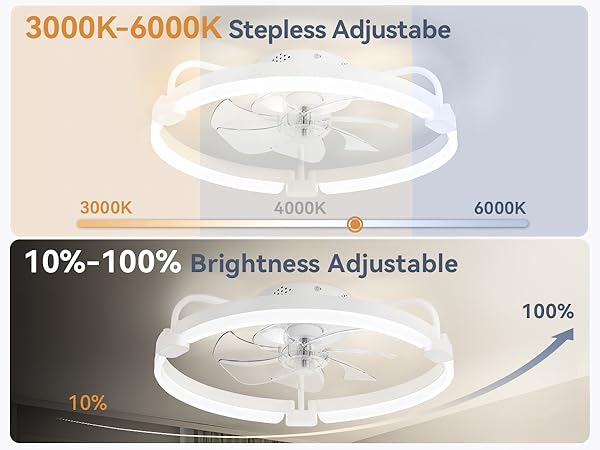 Ceiling Fans with Lights
