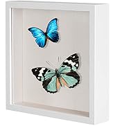 8x8 Shadow Box Picture Frame with Soft Linen Back - Metal Push Pins Included, Memory Box Display ...