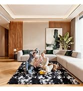 Ehayx Black and White 5x7 Area Rugs for Living Room, Soft Fluffy Large Rug for Bedroom, Shag Non-...