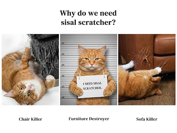 Cat Scratcher with Ball
