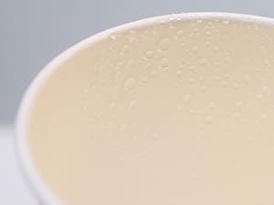 Food-Grade PE Coated Inner Lining