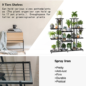 Plant Stand