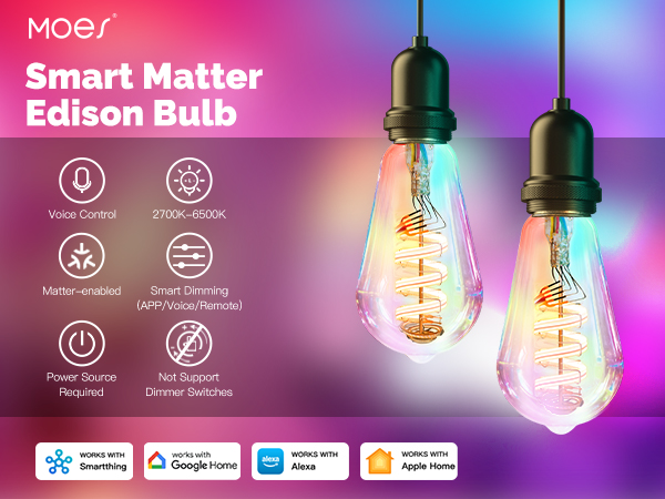 moes smart matter edison bulb