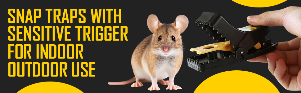 Mouse Trap
