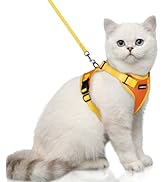 rabbitgoo Cat Harness and Leash Set, Escape Proof Soft Adjustable Vest Harnesses for Outdoor Walk...