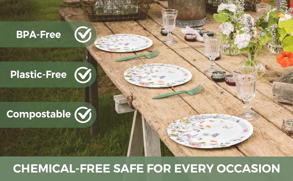 party plates and napkins