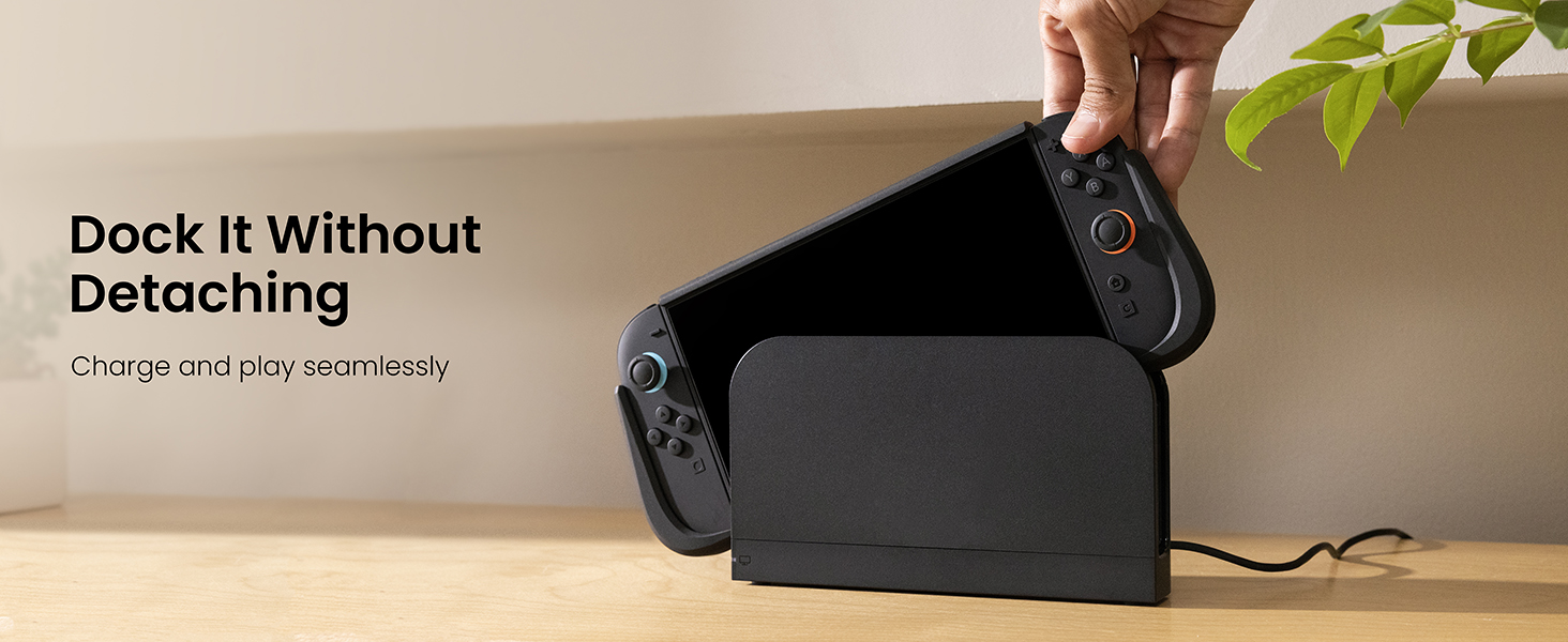 switch 2 dockable case