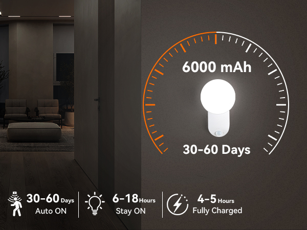 Motion Sensor Wall Light