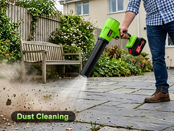 Dust Cleaning