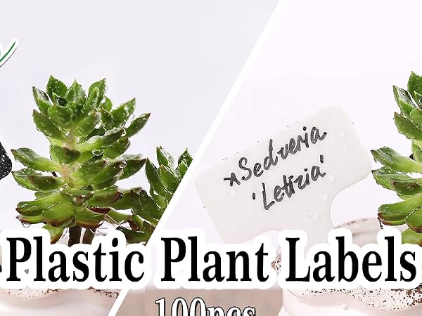 100 Pcs Plastic Plant Labels