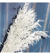 40 Stems Dried White Oat Flowers, 17'' Real Natural Bleached Avena Flowers Wheat Bunch for Weddin...
