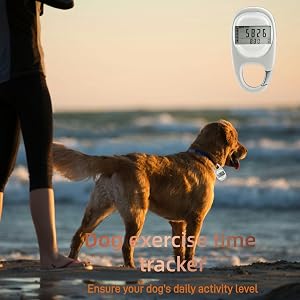 pedometer walking