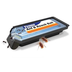 TERRO Ant & Roach Bait paste bait targets roaches