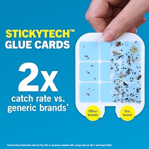safer home indoor fly trap stickytech glue cards catch 2x more than generic brands