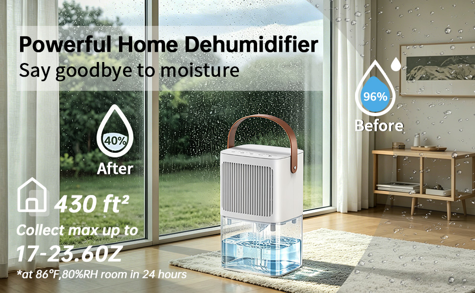 dehumidifier