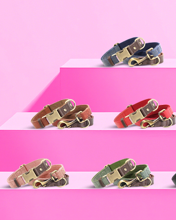 Didog dog collar for small medium large dogs