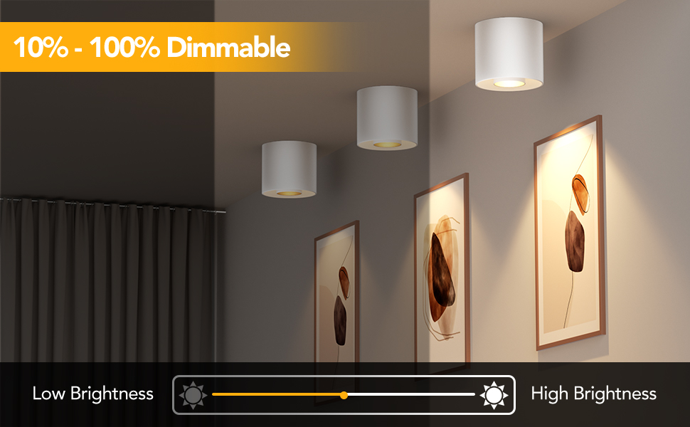 dimmable ceiling light