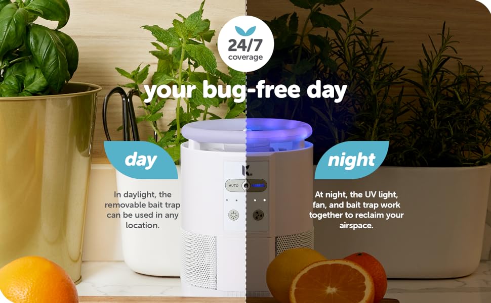 your bug free day