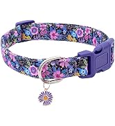 Faygarsle Cotton Dog Collar Cute Dog Collars for Small Medium Large Dogs Purple Floral Colored Op...