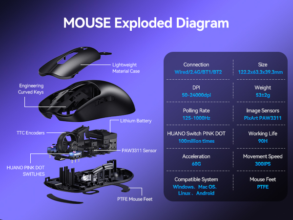 MOUSE Exploded Diagram
