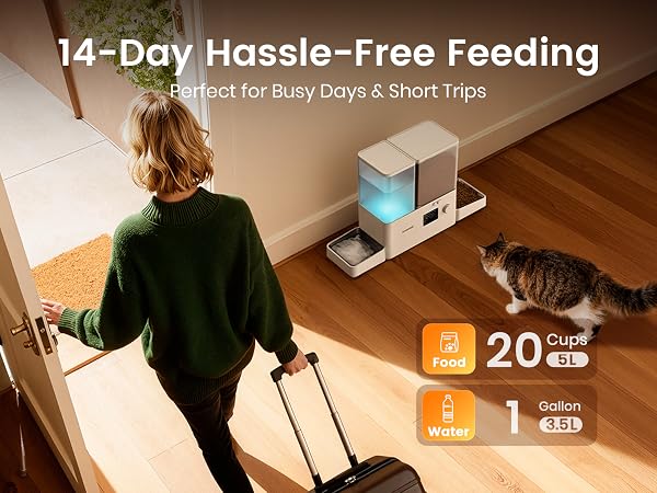 Automatic Cat Feeder and Water Dispenser