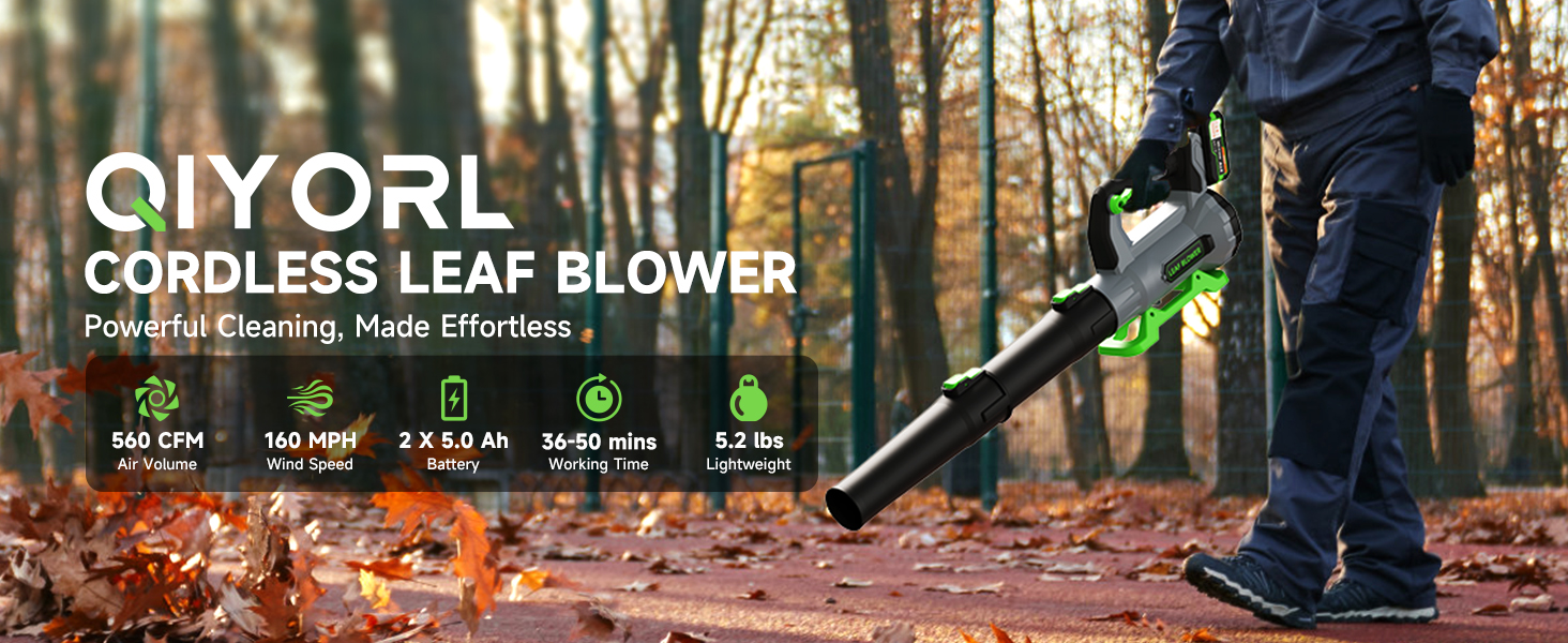 Cordless Leaf Blower