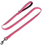 PUPTECK Reflective Dog Leash with Comfortable Padded Handle Durable Nylon Dog Lead for Small Medi...