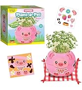 Creativity for Kids Plant-a-Pet Barnyard Pig Kit | Decorate, Plant & Grow Your Own Pet | Chia See...