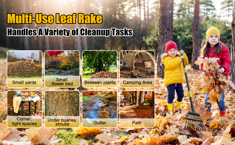 Rake for Leaves