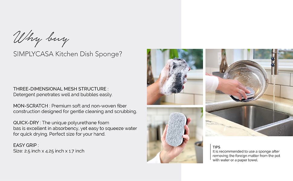black dish sponge