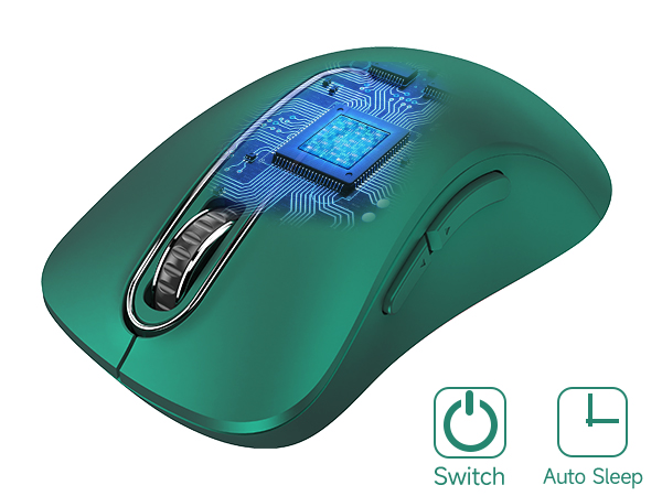 mouse
