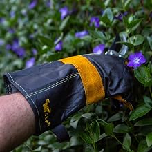 pruning