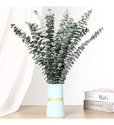 Jtoder 20 PCS Dried Eucalyptus Stems, 17'' Natural Real Live Greenery Eucalyptus Leaves Branches ...
