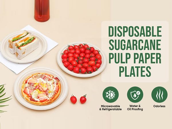 DISPOSABLE SUGARCANE PULP PAPER PLATES