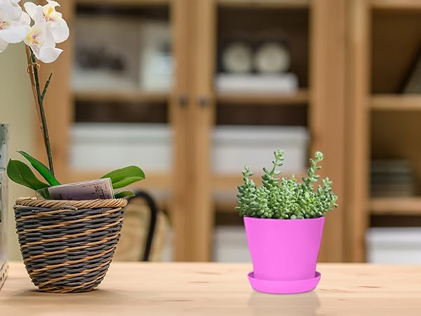 4 inch plastic pots