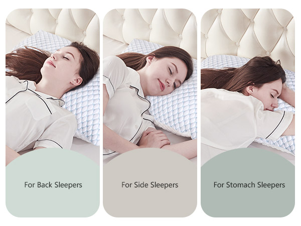 Shredded Memory Foam Pillows