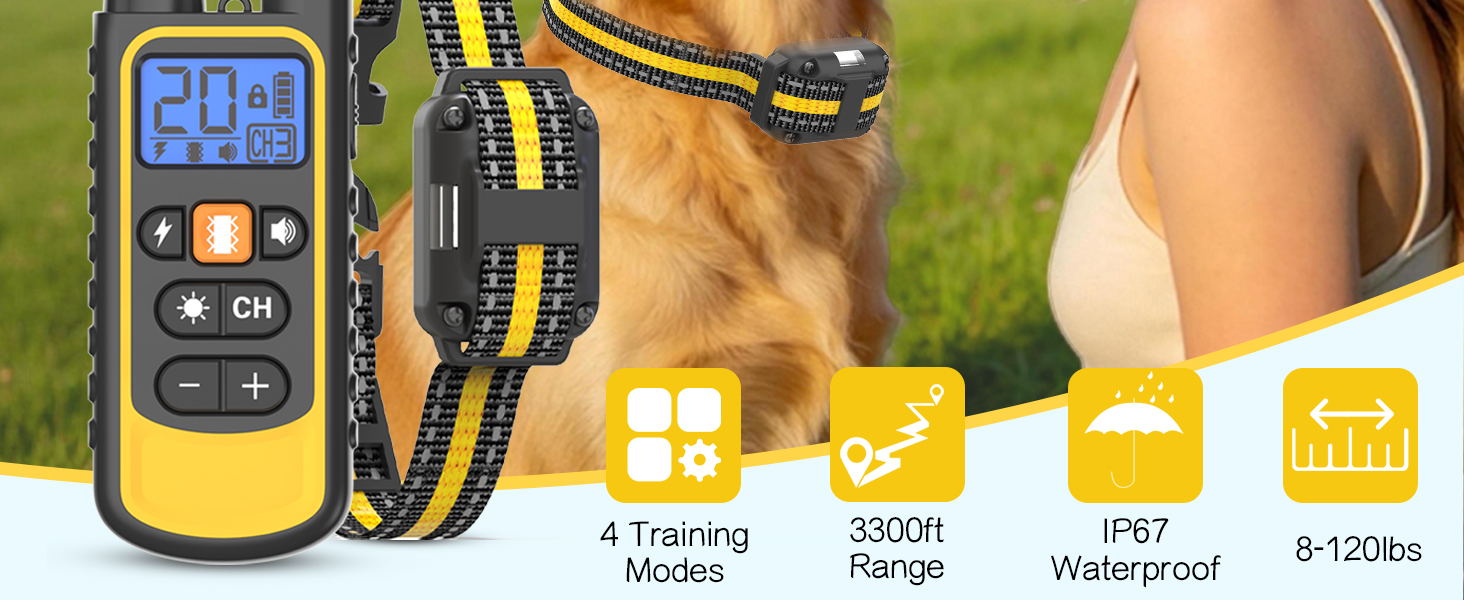 dog training collar with remote