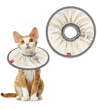 https://m.media-amazon.com/images/I/41DlJWTUFjL.__AC_SR200,225___.jpg