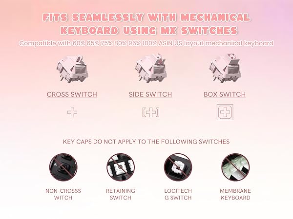 MX switches