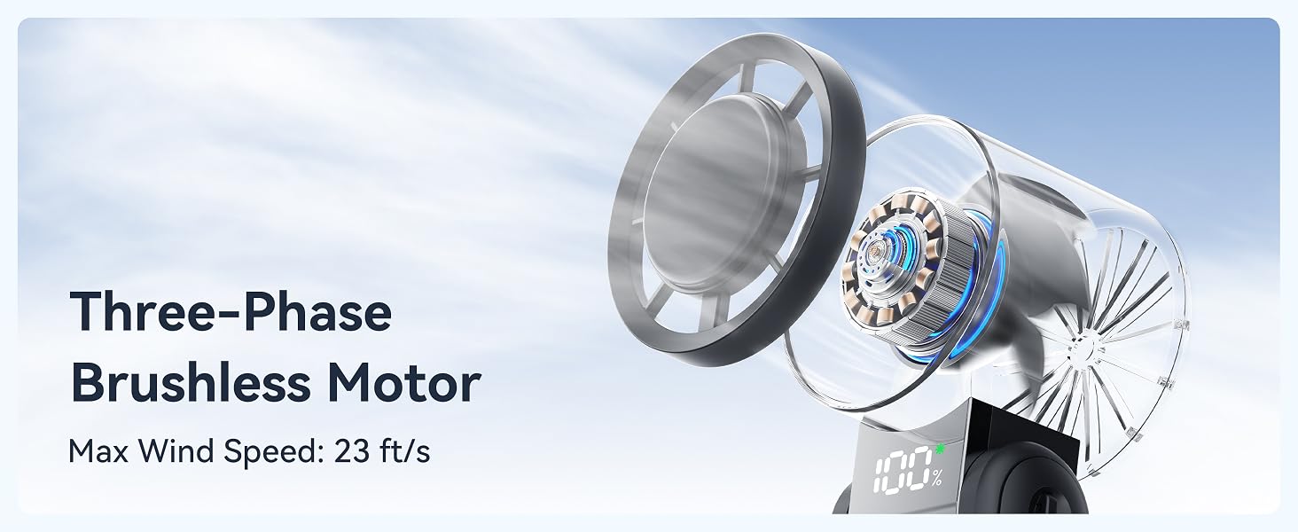 Three-Phase Brushless Motor