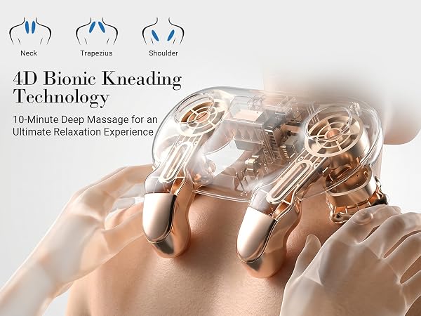 4D Bionic Kneading Technology