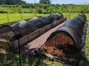shade covers for plants